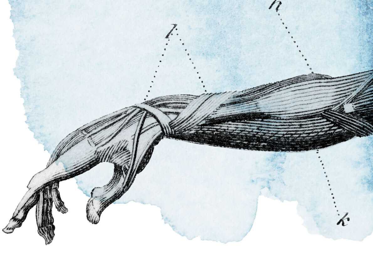 Contact